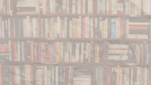 BOOK REVIEWS BY SOPHIE GUIDOLIN