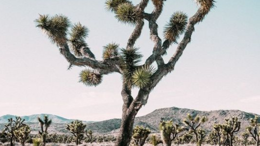 Why You Self-Sabotage & Steps to Stop Today