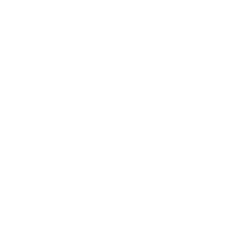 The Bod